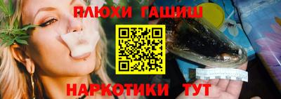 сатива Пенза
