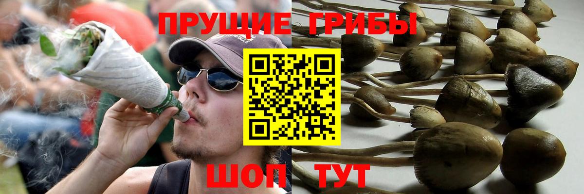 Псилоцибиновые грибы MAGIC MUSHROOMS Сарапул